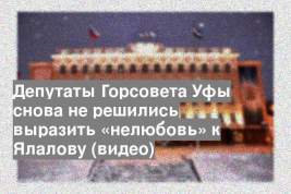 Депутаты Горсовета Уфы снова не решились выразить «нелюбовь» к Ялалову (видео)