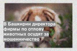 В Башкирии директора фирмы по отлову животных осудят за мошенничество