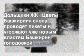 Дольщики ЖК «Цветы Башкирии» снова проводят пикеты и угрожают уже новым властям Башкирии голодовкой