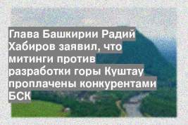 Глава Башкирии Радий Хабиров заявил, что митинги против разработки горы Куштау проплачены конкурентами БСК