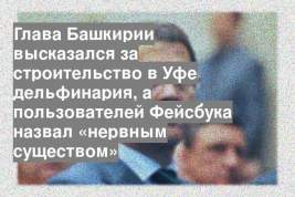 Глава Башкирии высказался за строительство в Уфе дельфинария, а пользователей Фейсбука назвал «нервным существом»