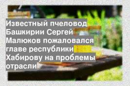 Известный пчеловод Башкирии Сергей Малюков пожаловался главе республики Хабирову на проблемы отрасли