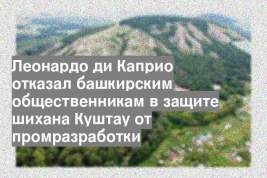 Леонардо ди Каприо отказал башкирским общественникам в защите шихана Куштау от промразработки