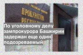 По уголовному делу зампрокурора Башкирии задержан еще один подозреваемый