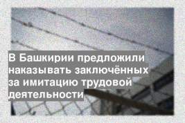 В Башкирии предложили наказывать заключённых за имитацию трудовой деятельности