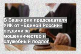 В Башкирии председателя УИК от «Единой России» осудили за мошенничество и служебный подлог