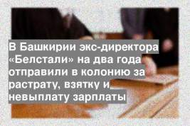 В Башкирии экс-директора «Белстали» на два года отправили в колонию за растрату, взятку и невыплату зарплаты