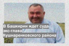 В Башкирии ждет суда экс-глава Кушнаренковского района