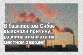 В башкирском Сибае выяснили причину разлива химиката на местном заводе