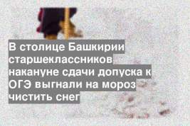 В столице Башкирии старшеклассников накануне сдачи допуска к ОГЭ выгнали на мороз чистить снег
