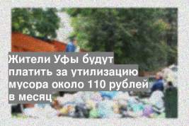 Жители Уфы будут платить за утилизацию мусора около 110 рублей в месяц