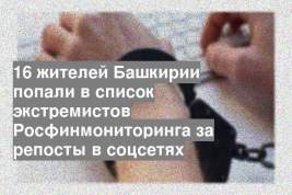 16 жителей Башкирии попали в список экстремистов Росфинмониторинга за репосты в соцсетях