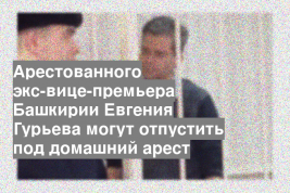 Арестованного экс-вице-премьера Башкирии Евгения Гурьева могут отпустить под домашний арест