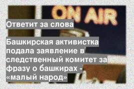 Башкирская активистка подала заявление в следственный комитет за фразу о башкирах - «малый народ»