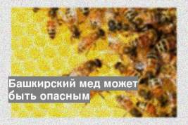 Башкирский мед может быть опасным