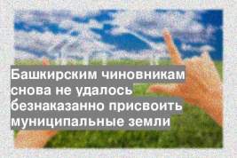 Башкирским чиновникам снова не удалось безнаказанно присвоить муниципальные земли