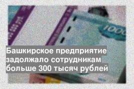 Башкирское предприятие задолжало сотрудникам больше 300 тысяч рублей