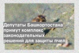Депутаты Башкортостана примут комплекс законодательных решений для защиты пчел