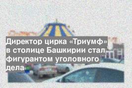 Директор цирка «Триумф» в столице Башкирии стал фигурантом уголовного дела
