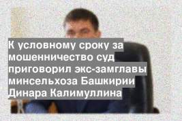 К условному сроку за мошенничество суд приговорил экс-замглавы минсельхоза Башкирии Динара Калимуллина