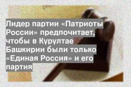 Лидер партии «Патриоты России» предпочитает, чтобы в Курултае Башкирии были только «Единая Россия» и его партия