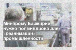 Минпрому Башкирии нужно полмиллиона для «реанимации» промышленности