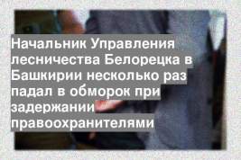 Начальник Управления лесничества Белорецка в Башкирии несколько раз падал в обморок при задержании правоохранителями