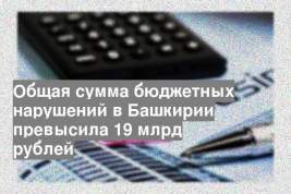 Общая сумма бюджетных нарушений в Башкирии превысила 19 млрд рублей