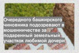 Очередного башкирского чиновника подозревают в мошенничестве за подаренный земельный участкок любимой дочери