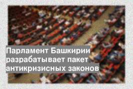 Парламент Башкирии разрабатывает пакет антикризисных законов