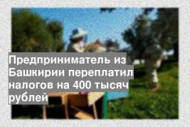 Предприниматель из Башкирии переплатил налогов на 400 тысяч рублей