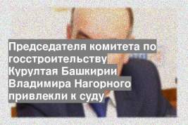 Председателя комитета по госстроительству Курултая Башкирии Владимира Нагорного привлекли к суду