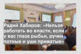 Радий Хабиров: «Нельзя работать во власти, если у вас глаза рыбьи, ручки потные и уши прижатые»