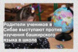 Родители учеников в Сибае выступают против изучения башкирского языка в школе