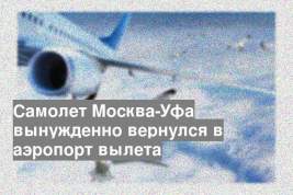 Самолет Москва-Уфа вынужденно вернулся в аэропорт вылета