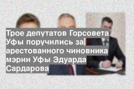 Трое депутатов Горсовета Уфы поручились за арестованного чиновника мэрии Уфы Эдуарда Сардарова
