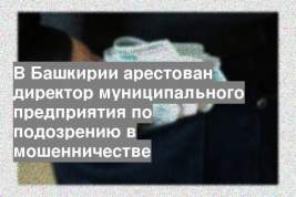 В Башкирии арестован директор муниципального предприятия по подозрению в мошенничестве