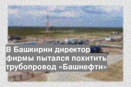 В Башкирии директор фирмы пытался похитить трубопровод «Башнефти»
