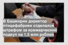 В Башкирии директор птицефабрики отделался штрафом за коммерческий подкуп на 1,5 млн рублей