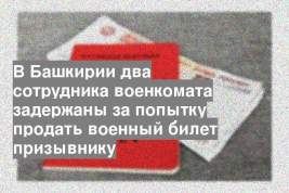 В Башкирии два сотрудника военкомата задержаны за попытку продать военный билет призывнику