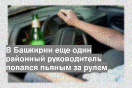 В Башкирии еще один районный руководитель попался пьяным за рулем