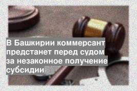 В Башкирии коммерсант предстанет перед судом за незаконное получение субсидии