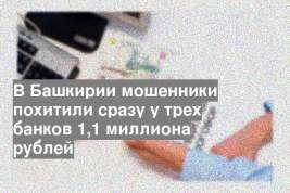 В Башкирии мошенники похитили сразу у трех банков 1,1 миллиона рублей