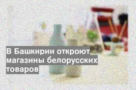 В Башкирии откроют магазины белорусских товаров