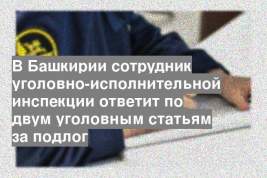 В Башкирии сотрудник уголовно-исполнительной инспекции ответит по двум уголовным статьям за подлог