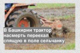 В Башкирии трактор насмерть переехал спящую в поле сельчанку