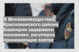 В Минземимуществе Краснокамского района Башкирии задержаны чиновники, регулярно принимающие взятки