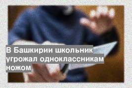 В Башкирии школьник угрожал одноклассникам ножом