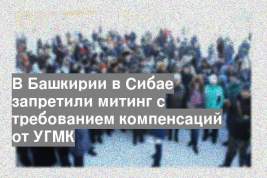 В Башкирии в Сибае запретили митинг с требованием компенсаций от УГМК