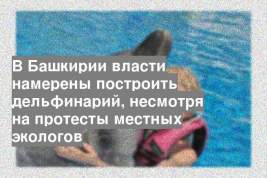 В Башкирии власти намерены построить дельфинарий, несмотря на протесты местных экологов